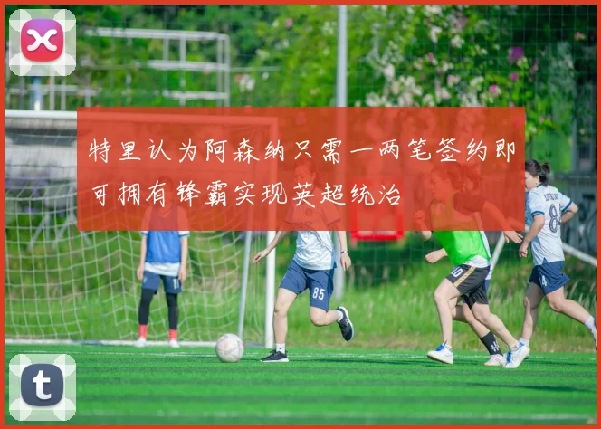特里认为阿森纳只需一两笔签约即可拥有锋霸实现英超统治